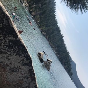 Meet your Posher, Zoe